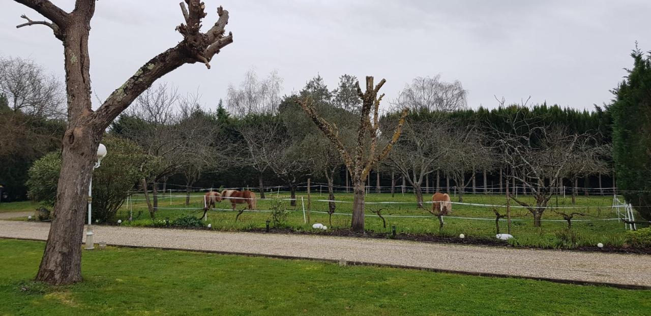 Le Cabassou Du Medoc Begadan Exterior photo